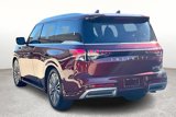 New 2025 INFINITI QX80 Sensory w/ Premium Cargo Package image 4