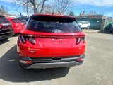 Used 2023 Hyundai Tucson Limited image 5