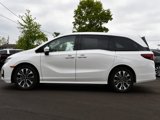 Certified 2025 Honda Odyssey Elite image 4