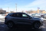Used 2025 Ford Escape ST-Line image 5