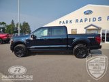 New 2025 Ford F150 Platinum image 2
