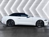 Used 2022 Ford Mustang Premium image 6