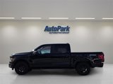 New 2025 Ford F150 STX w/ Equipment Group 201A FX4 image 4