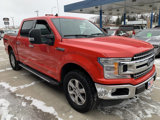 Used 2019 Ford F150 XLT w/ Equipment Group 302A Luxury image 4