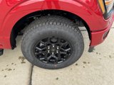 New 2025 Ford F150 XLT image 2