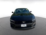 Used 2024 Ford Mustang Premium image 5