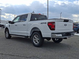 New 2025 Ford F150 XLT w/ Equipment Group 301A Standard image 3