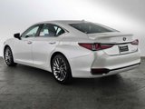 New 2025 Lexus ES 300h w/ Luxury Package image 5