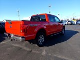 Used 2020 Ford F150 XLT w/ Equipment Group 302A Luxury image 6
