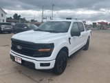 New 2025 Ford F150 XLT image 2