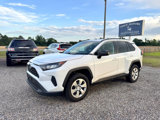 Used 2020 Toyota RAV4 LE image 2