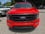 Used 2021 Ford F150 XLT w/ Equipment Group 302A High image 2
