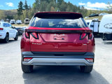 Used 2025 Hyundai Tucson SEL image 6