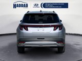 New 2025 Hyundai Tucson Limited image 4