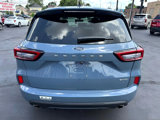 Used 2024 Ford Escape ST-Line w/ Tech Pack #1 image 6