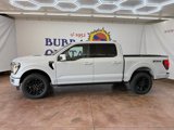 New 2025 Ford F150 Platinum image 2