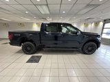 New 2025 Ford F150 XLT image 3