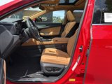 New 2025 Lexus NX 350 AWD w/ Premium Package image 4
