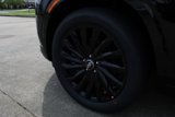 New 2025 Hyundai Palisade Calligraphy image 3
