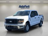 New 2025 Ford F150 XL w/ Equipment Group 103A High image 3