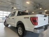 Used 2023 Ford F150 XLT image 5