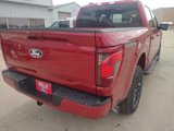 New 2025 Ford F150 XLT image 5