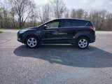 Used 2016 Ford Escape SE image 5