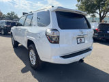 Used 2023 Toyota 4Runner SR5 Premium image 5