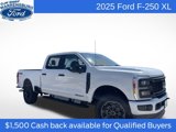 New 2025 Ford F250 XL w/ STX Appearance Package image 1