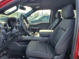 New 2025 Ford F150 XLT w/ Equipment Group 302A MID image 6