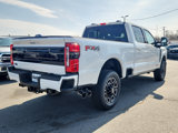 New 2025 Ford F250 Platinum image 6