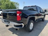 Used 2020 Chevrolet Silverado 2500 LT w/ Texas Edition image 6