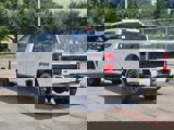 New 2025 Ford F250 Platinum image 4