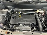 New 2026 GMC Terrain Elevation w/ LPO, Floor Liner Package image 4