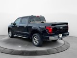 New 2025 Ford F150 XLT w/ Equipment Group 302A MID image 3