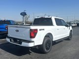 New 2025 Ford F150 XLT image 3