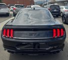 Used 2021 Ford Mustang GT w/ Equipment Group 301A image 5