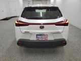 Used 2024 Lexus UX 250h AWD image 5