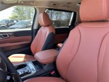 New 2025 Kia Carnival SX Prestige image 6