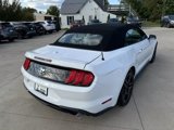 Used 2022 Ford Mustang Premium image 6