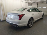 Used 2022 Cadillac CT5 Premium Luxury image 2