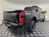 New 2025 Ford F250 Platinum image 3