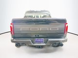 New 2025 Ford F150 Raptor image 5