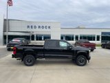 New 2025 Ford F250 Platinum image 2