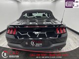 Used 2024 Ford Mustang Premium image 5