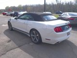 Used 2015 Ford Mustang Convertible w/ Equipment Group 051A image 5