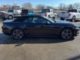 Used 2024 Ford Mustang Premium image 4