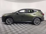 New 2026 Lexus NX 350 AWD w/ Luxury Package image 2