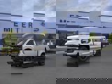 View Video