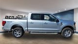 New 2025 Ford F150 XLT w/ Equipment Group 301A Standard image 6